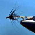Ask MidCurrent: Why Fly Contrast and Color Matter